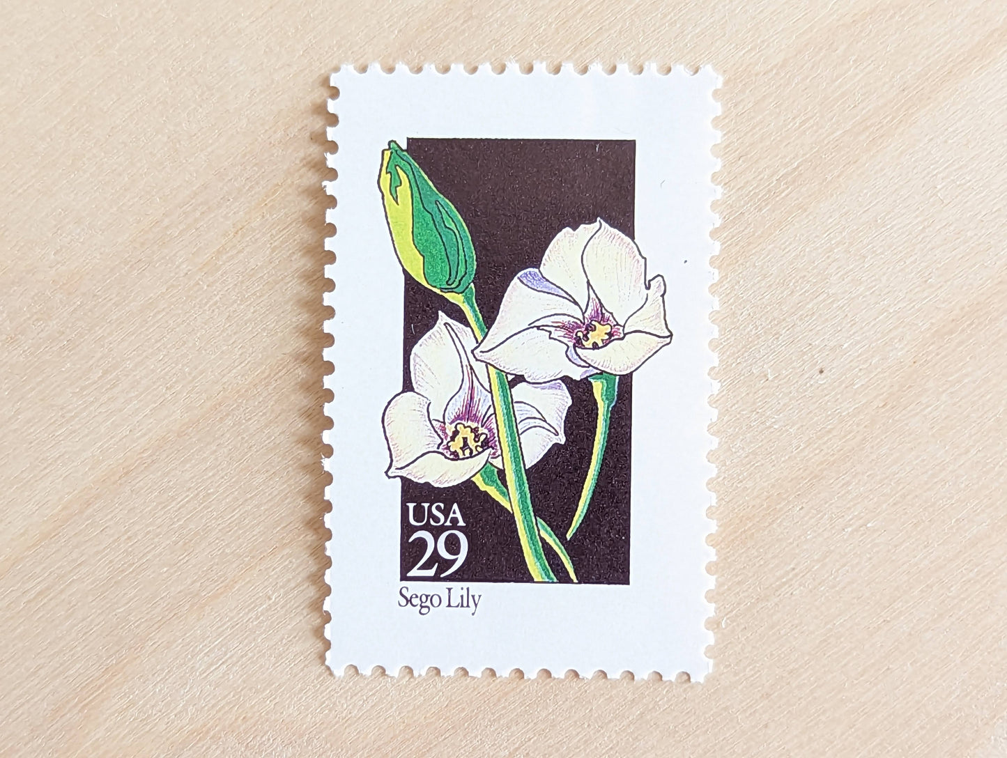 Set of 5 Sego Lily Wildflower Stamps, 29 cent stamps, 1992 Unused USPS Postage Stamp