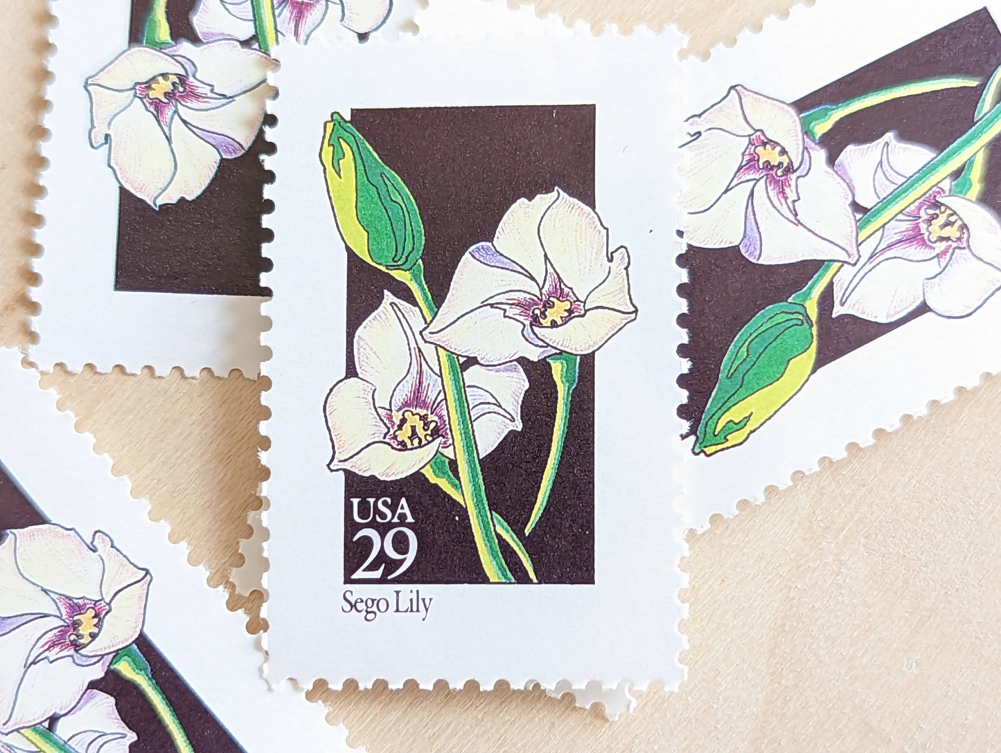 Set of 5 Sego Lily Wildflower Stamps, 29 cent stamps, 1992 Unused USPS Postage Stamp