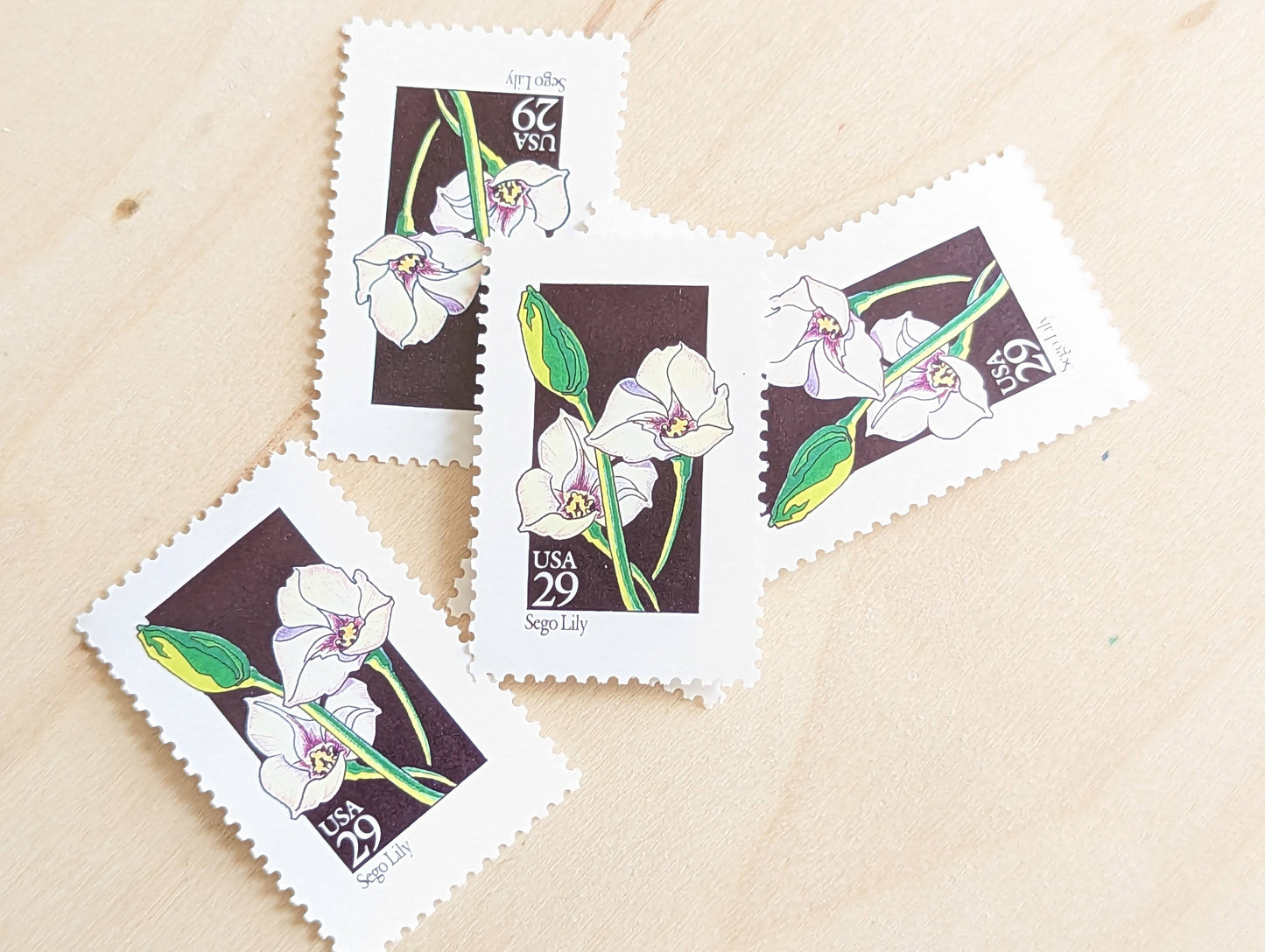 Set of 5 Sego Lily Wildflower Stamps, 29 cent stamps, 1992 Unused USPS Postage Stamp