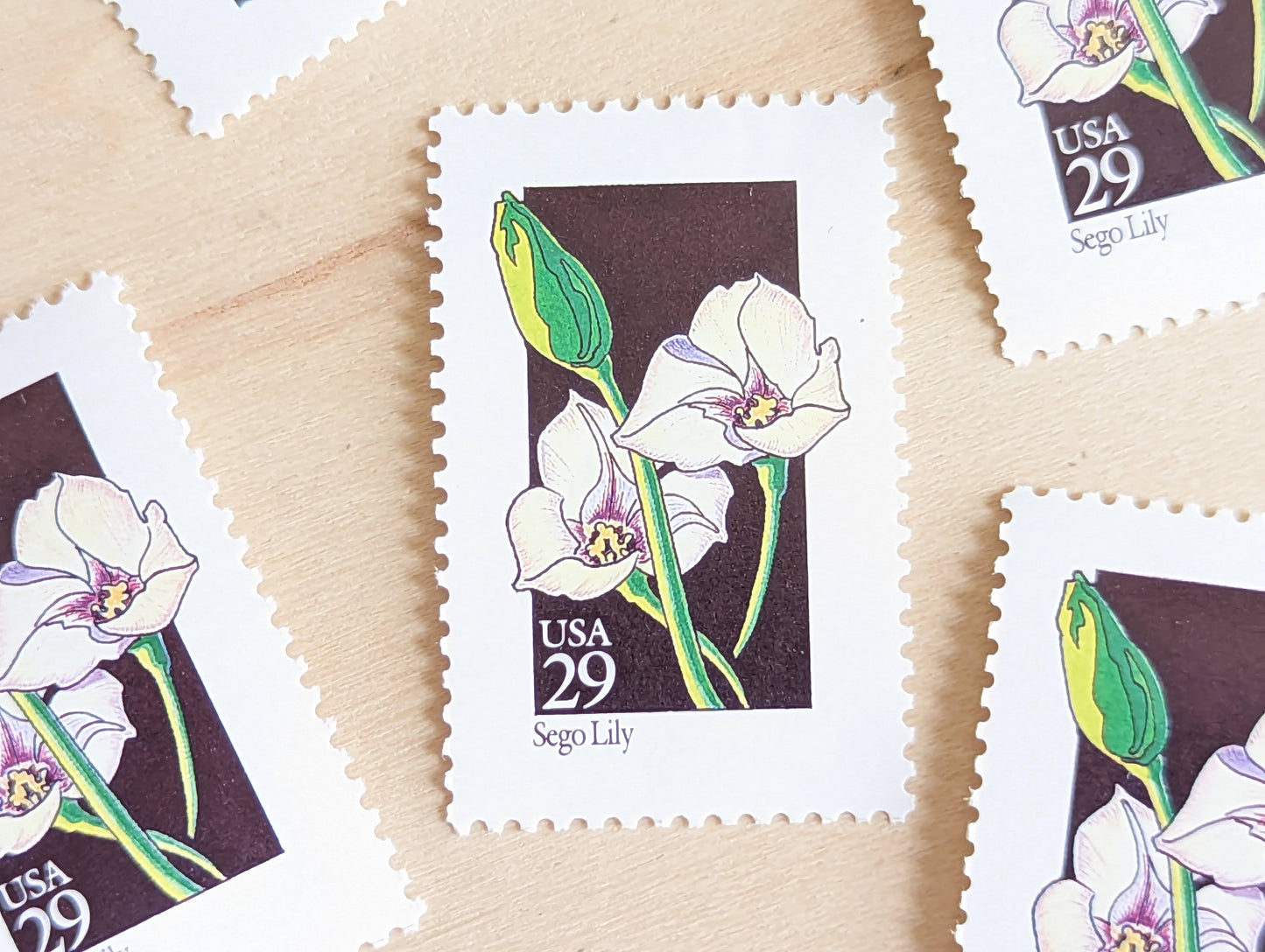 Set of 5 Sego Lily Wildflower Stamps, 29 cent stamps, 1992 Unused USPS Postage Stamp