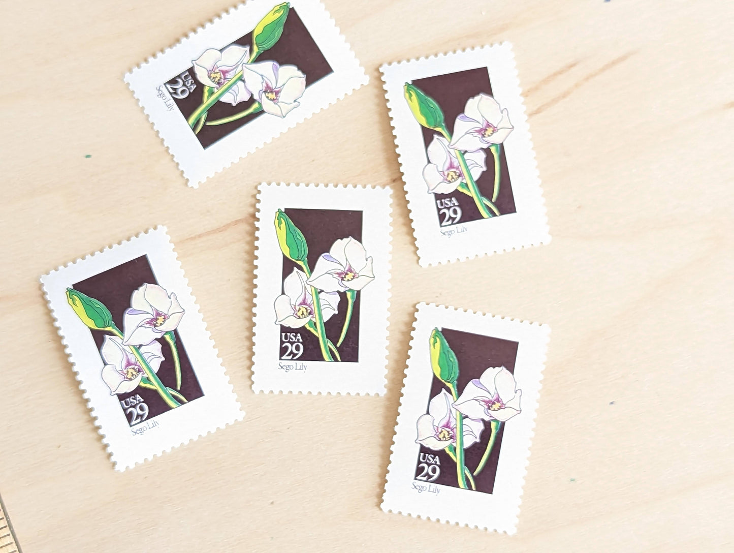 Set of 5 Sego Lily Wildflower Stamps, 29 cent stamps, 1992 Unused USPS Postage Stamp