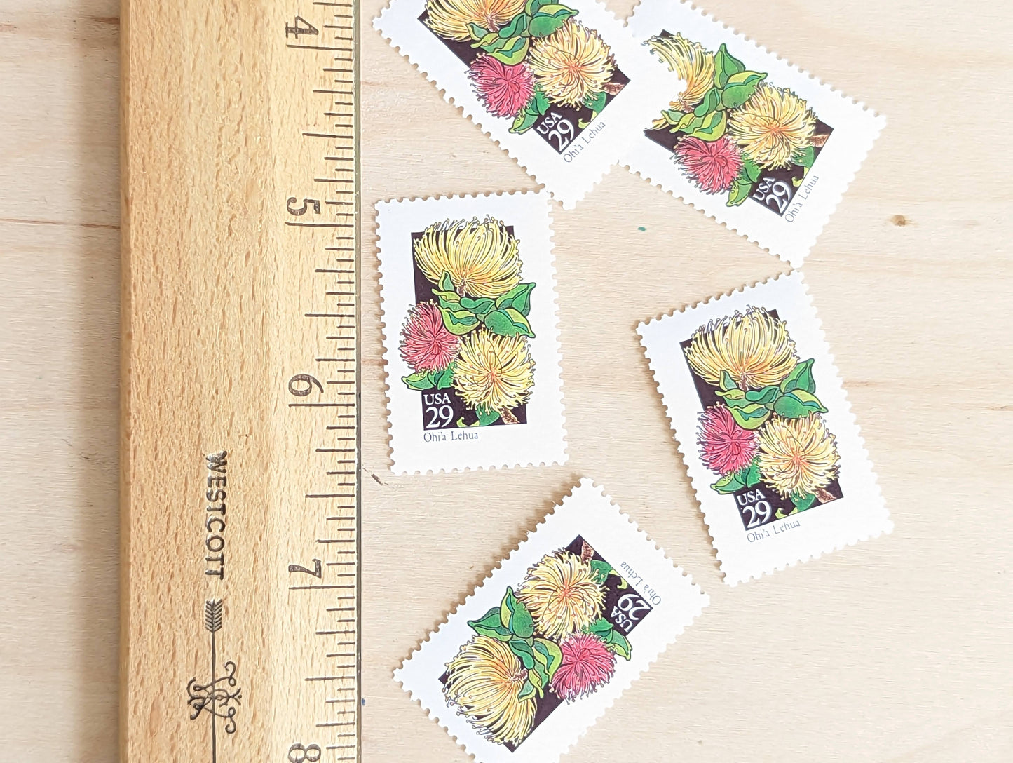 Set of 5 Ohi'a Lehua Wildflower Stamps, 29 cent stamps, 1992 Unused USPS Postage Stamp