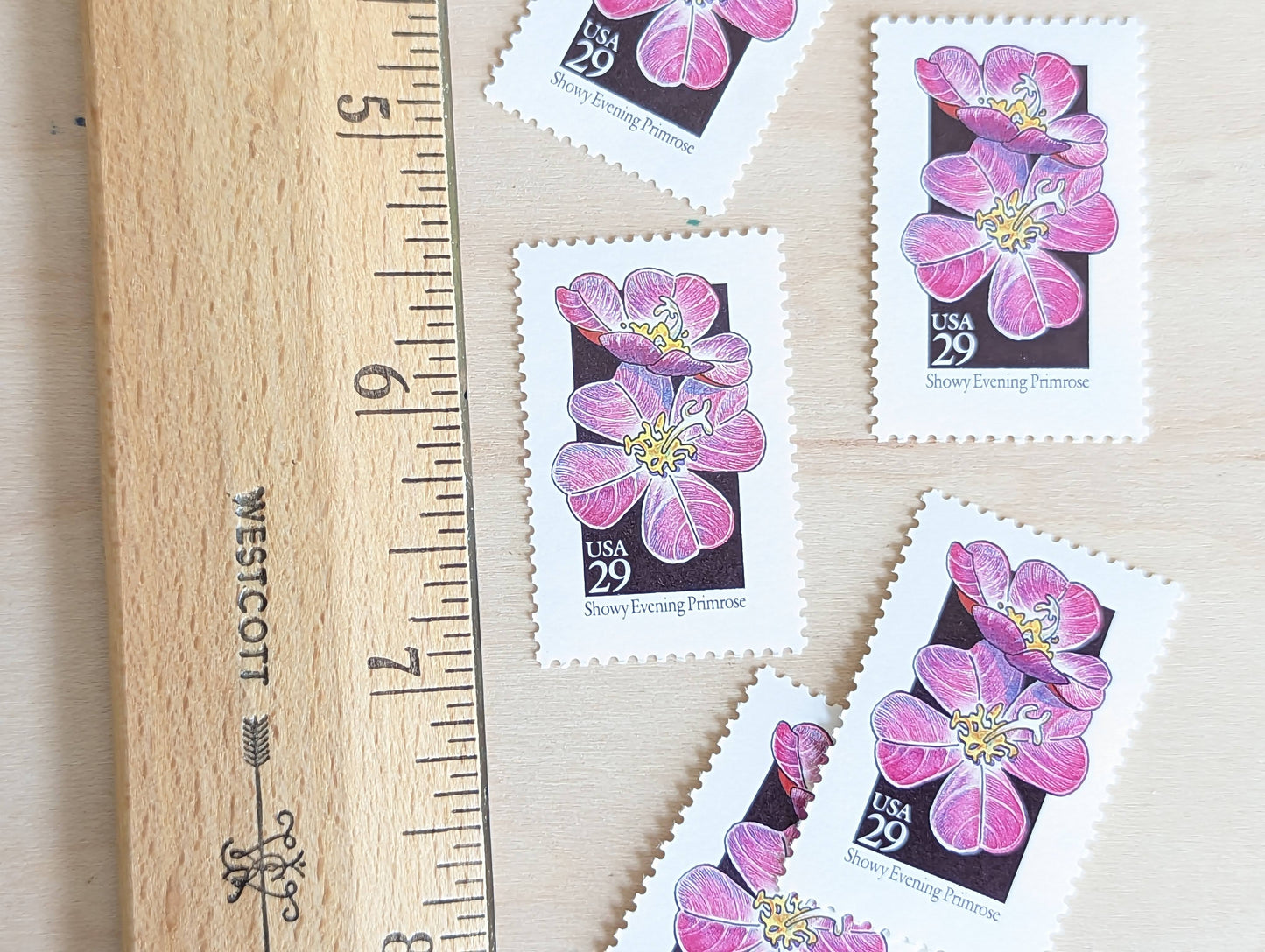 Set of 5 Showy Evening Primrose Wildflower Stamps, 29 cent stamps, 1992 Unused USPS Postage Stamps