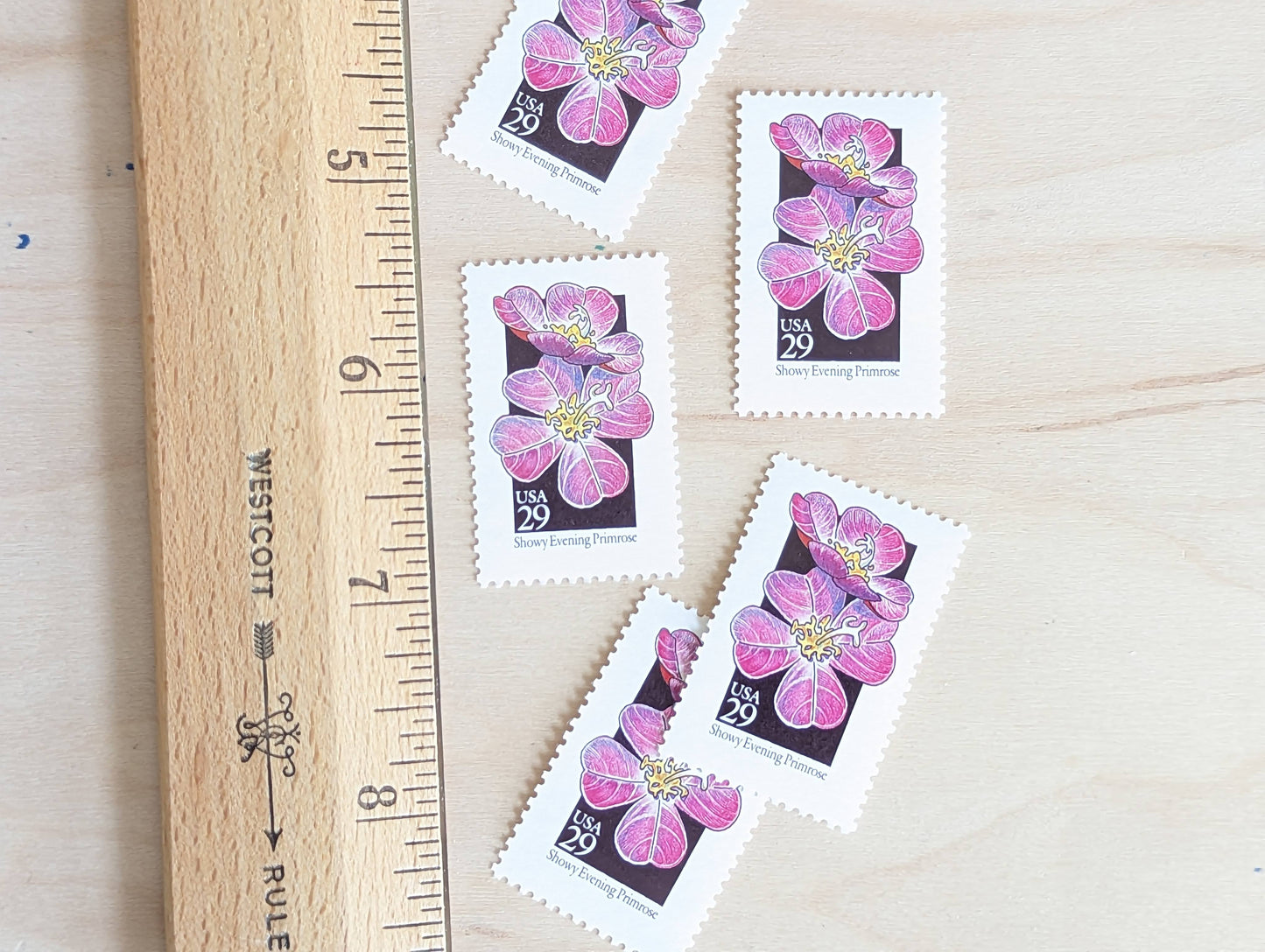 Set of 5 Showy Evening Primrose Wildflower Stamps, 29 cent stamps, 1992 Unused USPS Postage Stamps