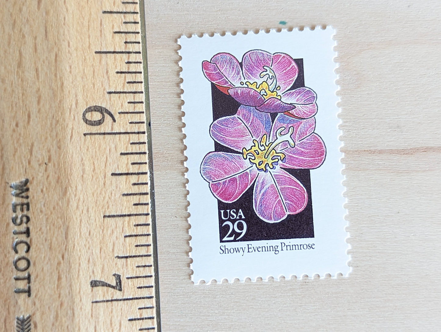 Set of 5 Showy Evening Primrose Wildflower Stamps, 29 cent stamps, 1992 Unused USPS Postage Stamps