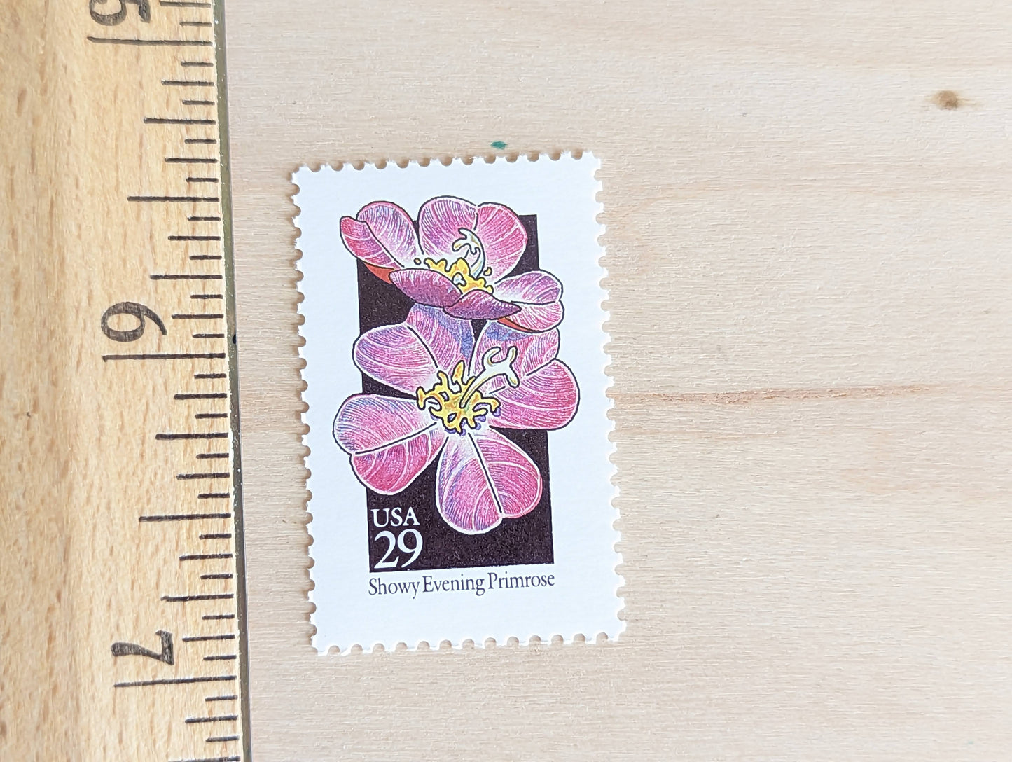 Set of 5 Showy Evening Primrose Wildflower Stamps, 29 cent stamps, 1992 Unused USPS Postage Stamps