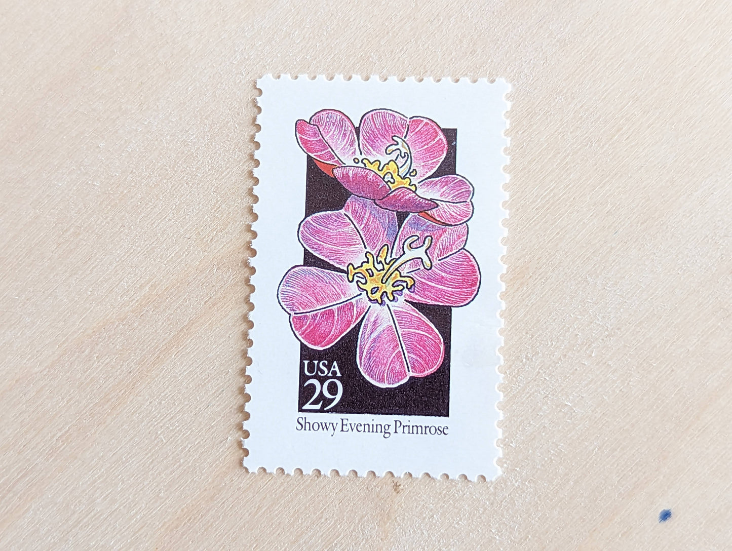 Set of 5 Showy Evening Primrose Wildflower Stamps, 29 cent stamps, 1992 Unused USPS Postage Stamps