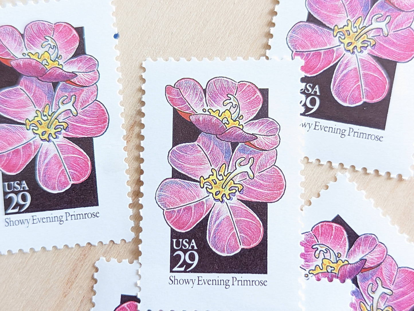 Set of 5 Showy Evening Primrose Wildflower Stamps, 29 cent stamps, 1992 Unused USPS Postage Stamps