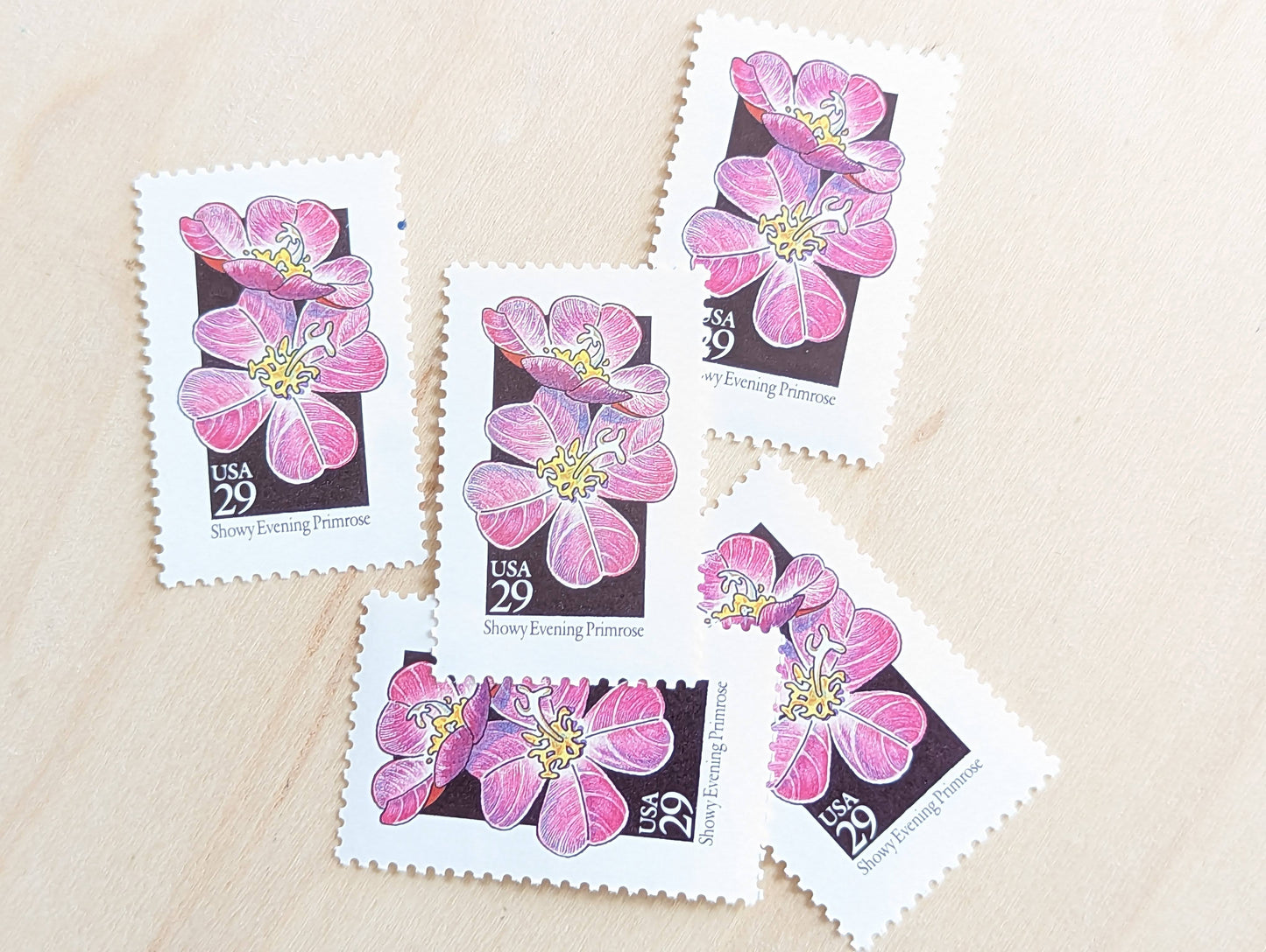 Set of 5 Showy Evening Primrose Wildflower Stamps, 29 cent stamps, 1992 Unused USPS Postage Stamps