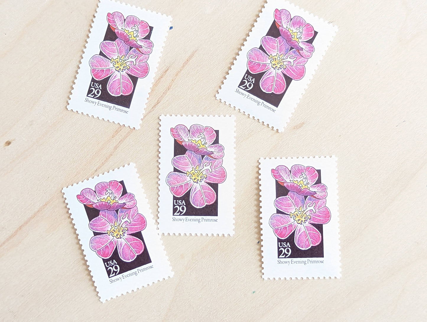 Set of 5 Showy Evening Primrose Wildflower Stamps, 29 cent stamps, 1992 Unused USPS Postage Stamps