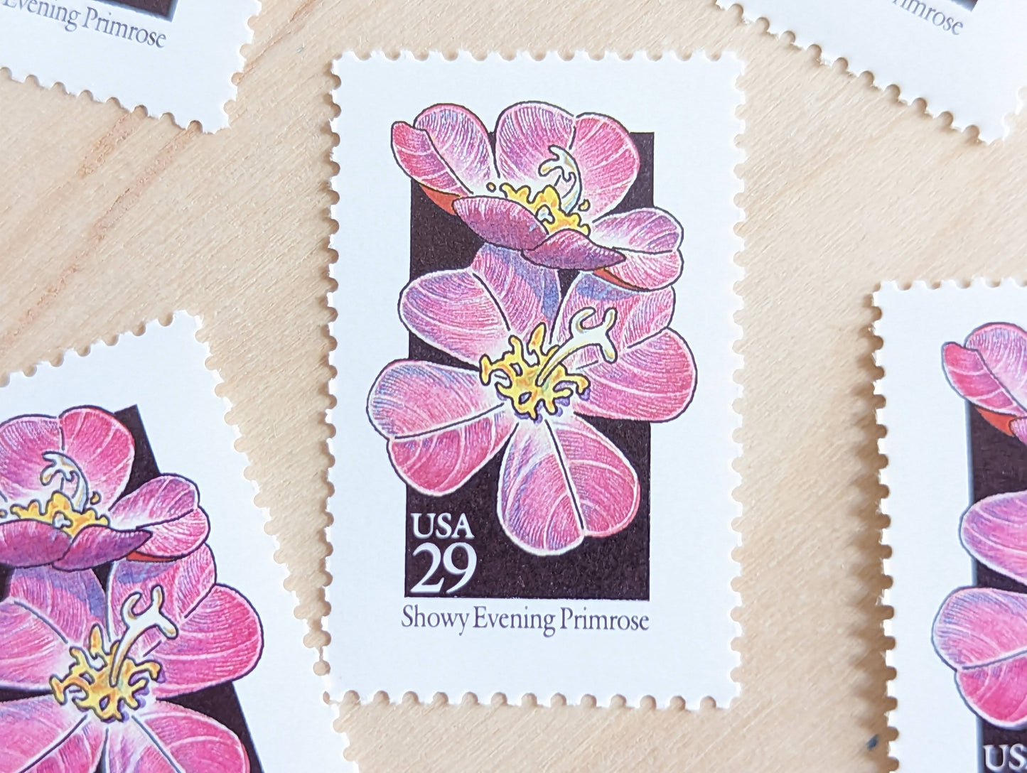 Set of 5 Showy Evening Primrose Wildflower Stamps, 29 cent stamps, 1992 Unused USPS Postage Stamps