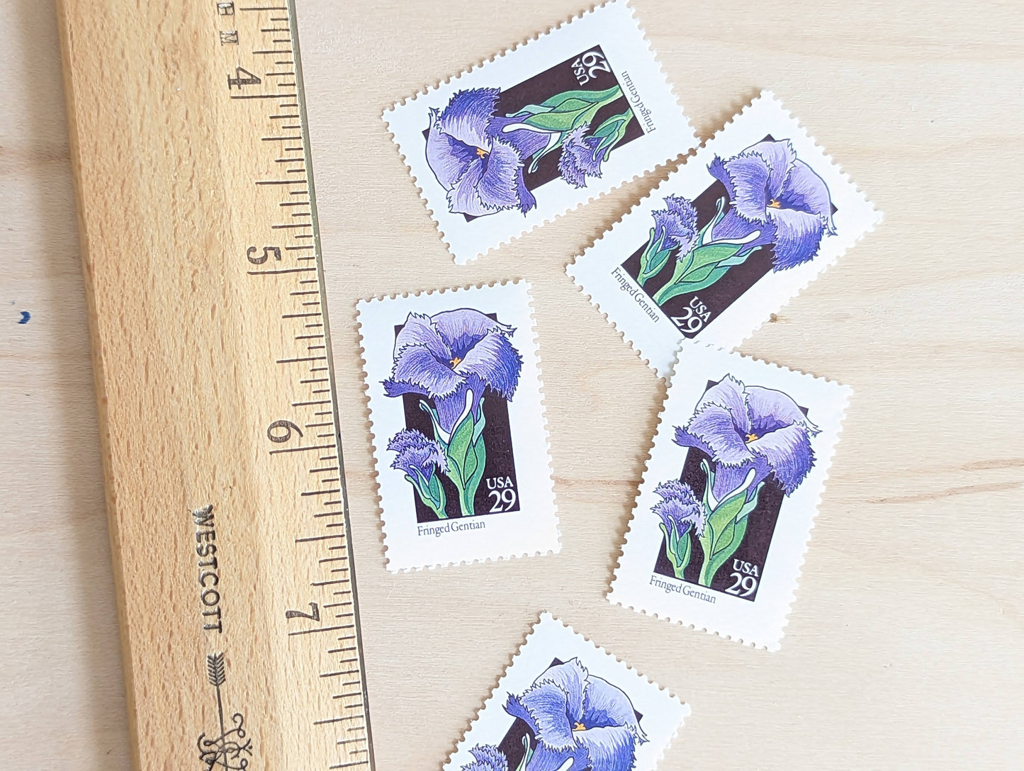 Set of 5 Fringed Gentian Wildflower Stamps, 29 cent stamps, 1992 Unused USPS Postage Stamps