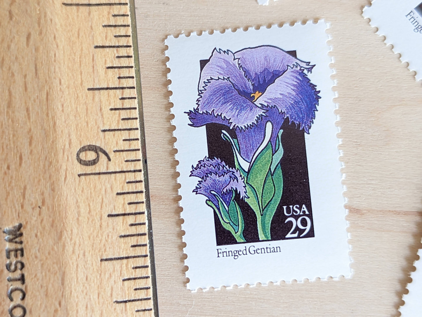 Set of 5 Fringed Gentian Wildflower Stamps, 29 cent stamps, 1992 Unused USPS Postage Stamps