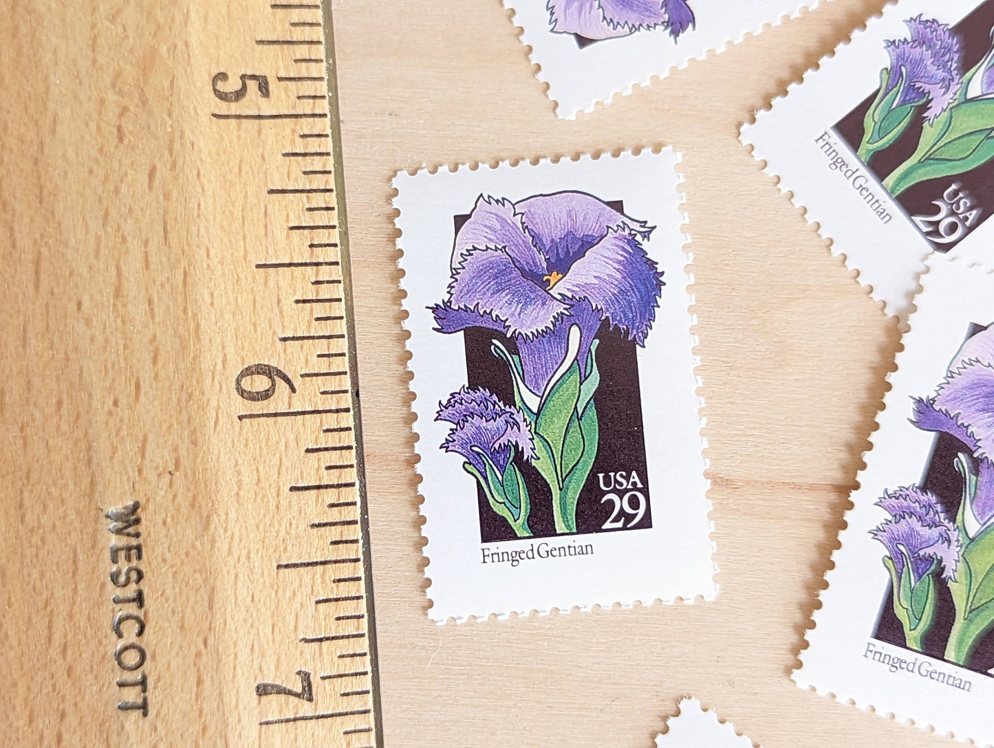 Set of 5 Fringed Gentian Wildflower Stamps, 29 cent stamps, 1992 Unused USPS Postage Stamps