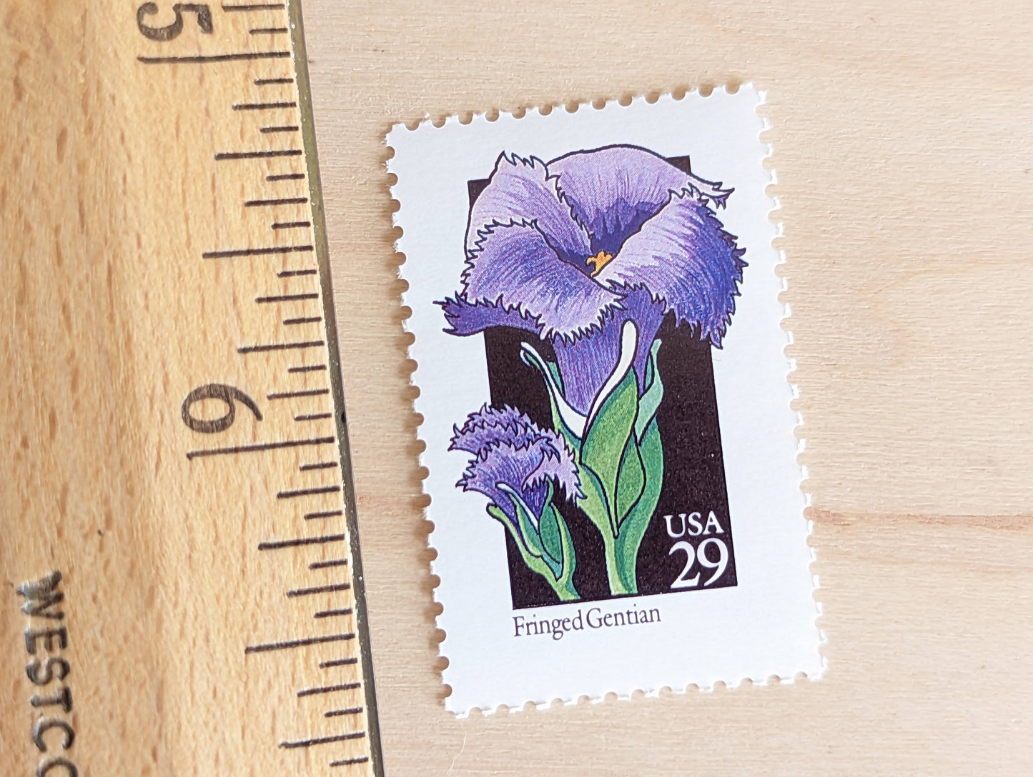 Set of 5 Fringed Gentian Wildflower Stamps, 29 cent stamps, 1992 Unused USPS Postage Stamps