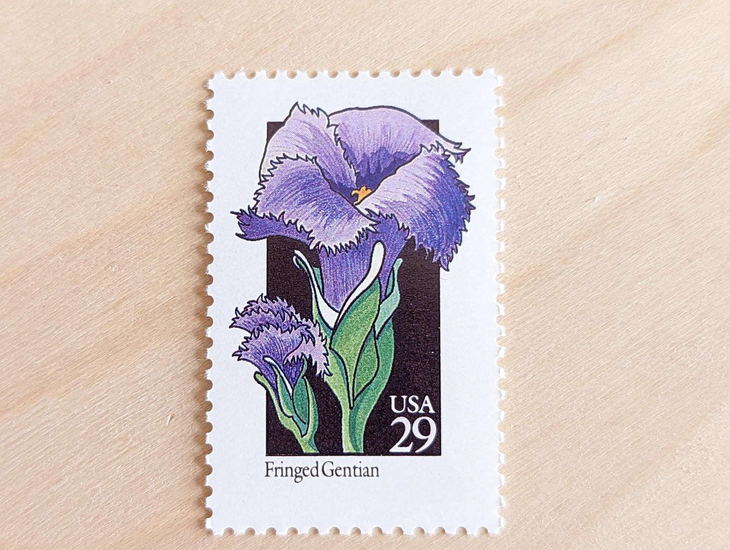 Set of 5 Fringed Gentian Wildflower Stamps, 29 cent stamps, 1992 Unused USPS Postage Stamps