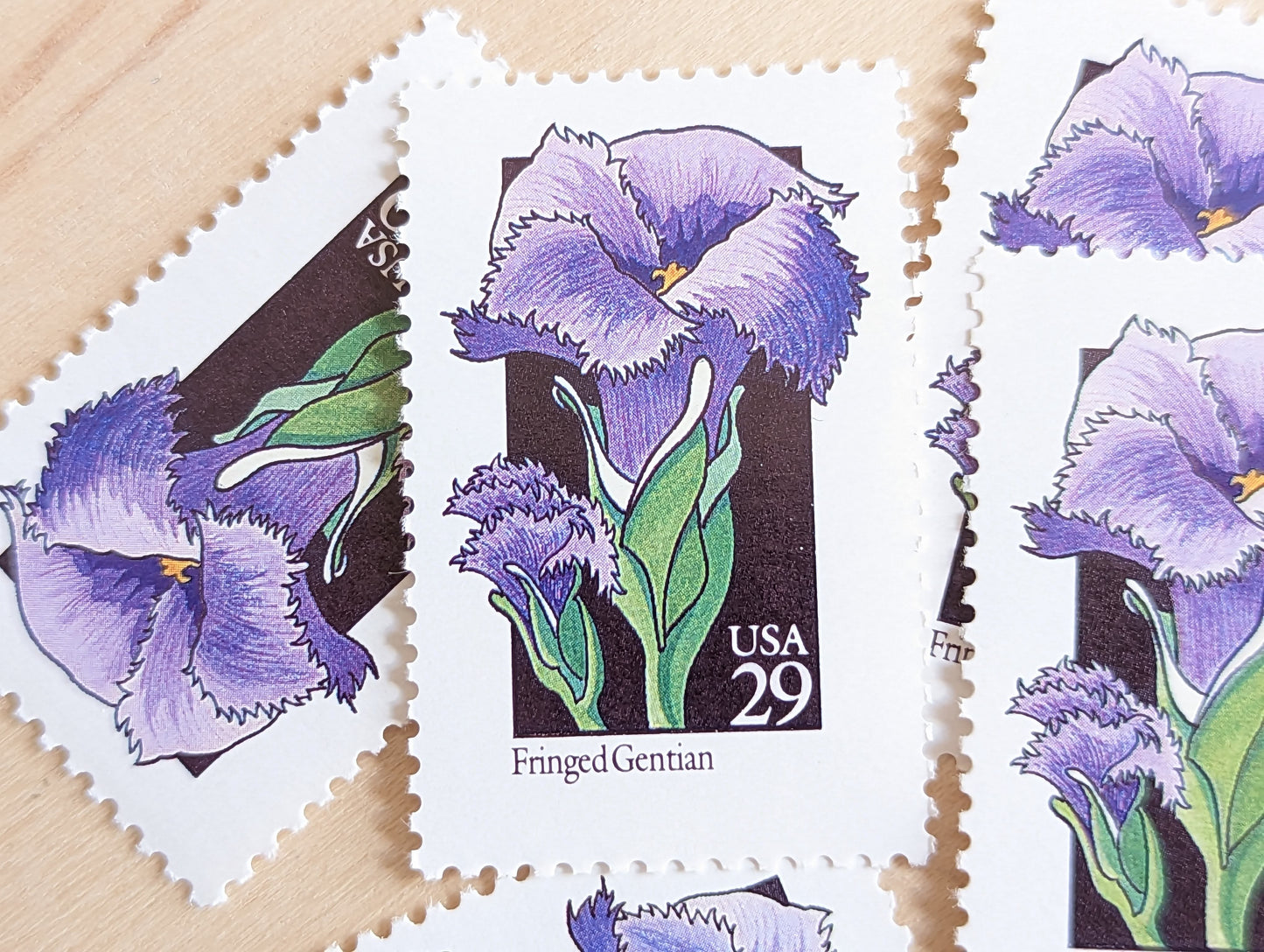 Set of 5 Fringed Gentian Wildflower Stamps, 29 cent stamps, 1992 Unused USPS Postage Stamps