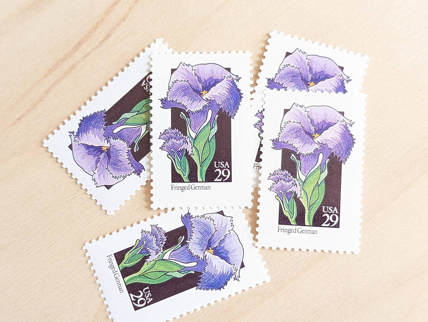 Set of 5 Fringed Gentian Wildflower Stamps, 29 cent stamps, 1992 Unused USPS Postage Stamps