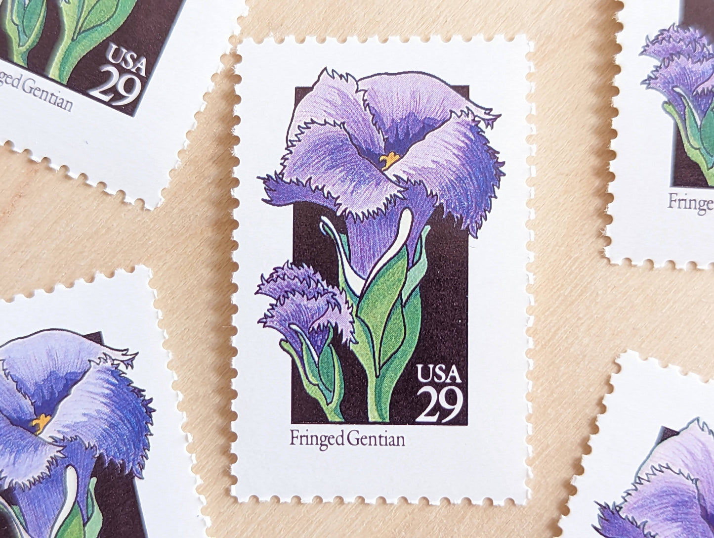 Set of 5 Fringed Gentian Wildflower Stamps, 29 cent stamps, 1992 Unused USPS Postage Stamps