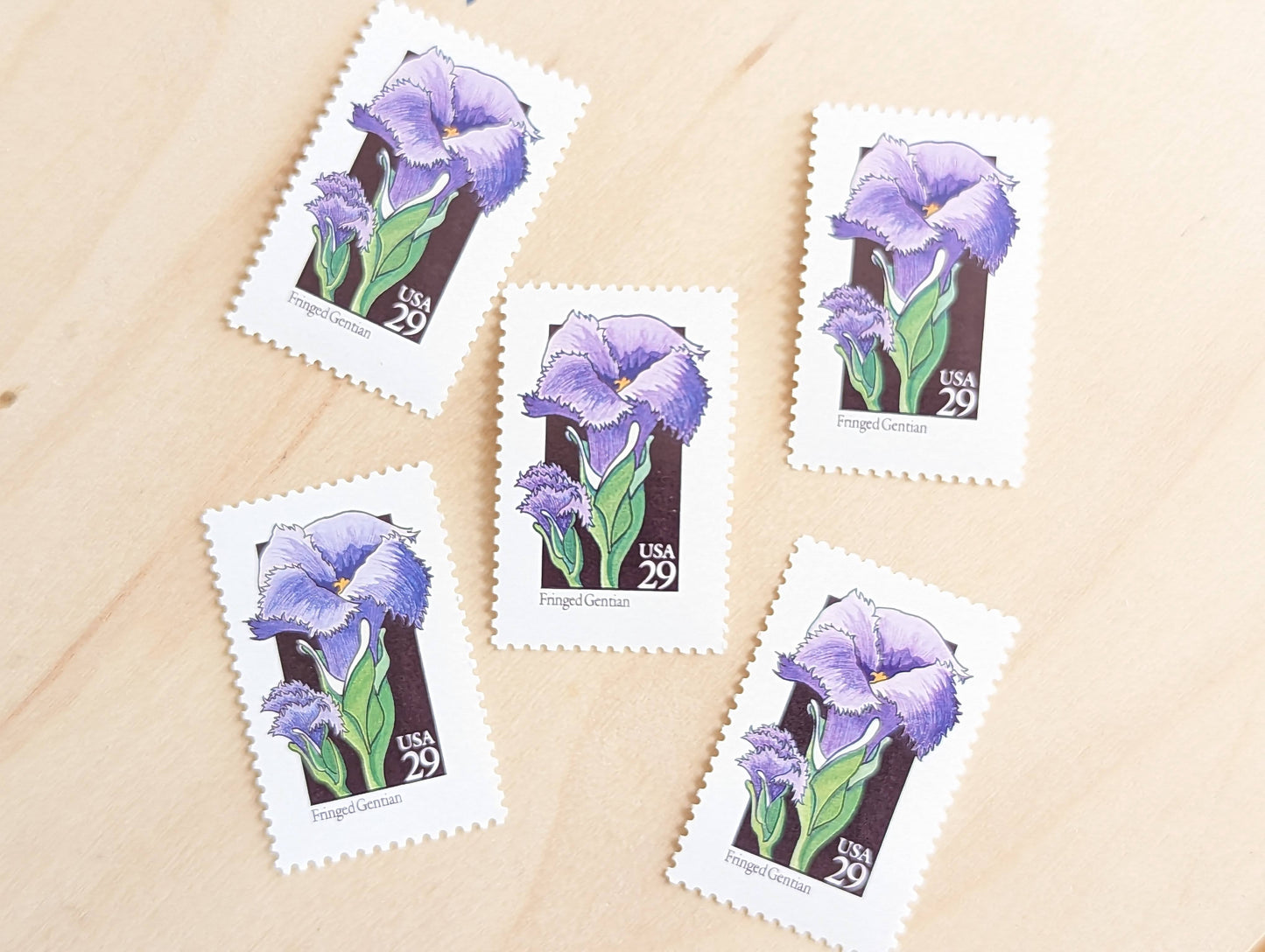 Set of 5 Fringed Gentian Wildflower Stamps, 29 cent stamps, 1992 Unused USPS Postage Stamps