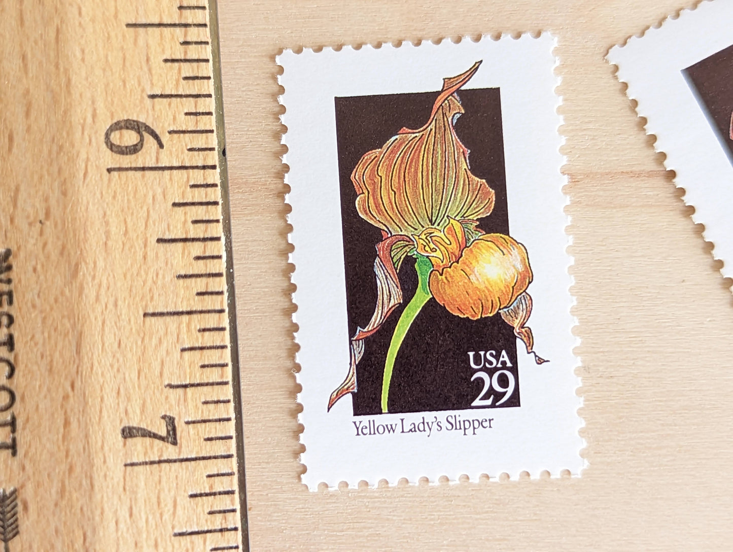 Set of 5 Yellow Lady's Slipper Wildflower Stamps, 29 cent stamps, 1992 Unused USPS Postage Stamps