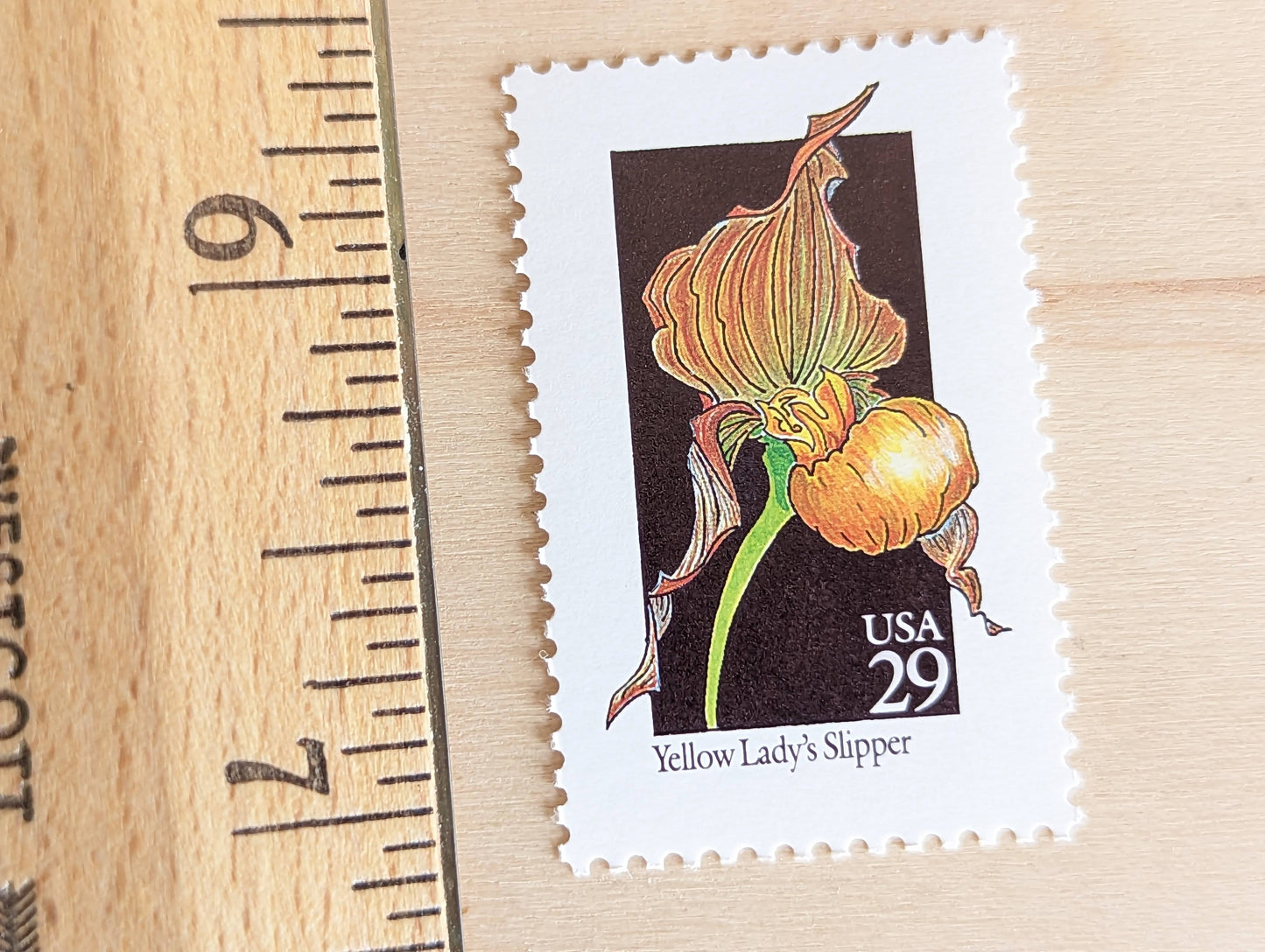 Set of 5 Yellow Lady's Slipper Wildflower Stamps, 29 cent stamps, 1992 Unused USPS Postage Stamps