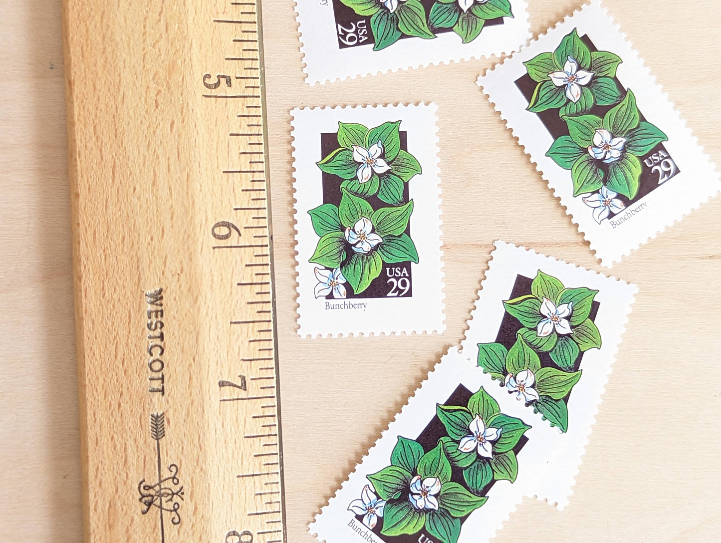 Set of 5 Bunchberry Wildflower Stamps, 29 cent stamps, 1992 Unused USPS Postage Stamps