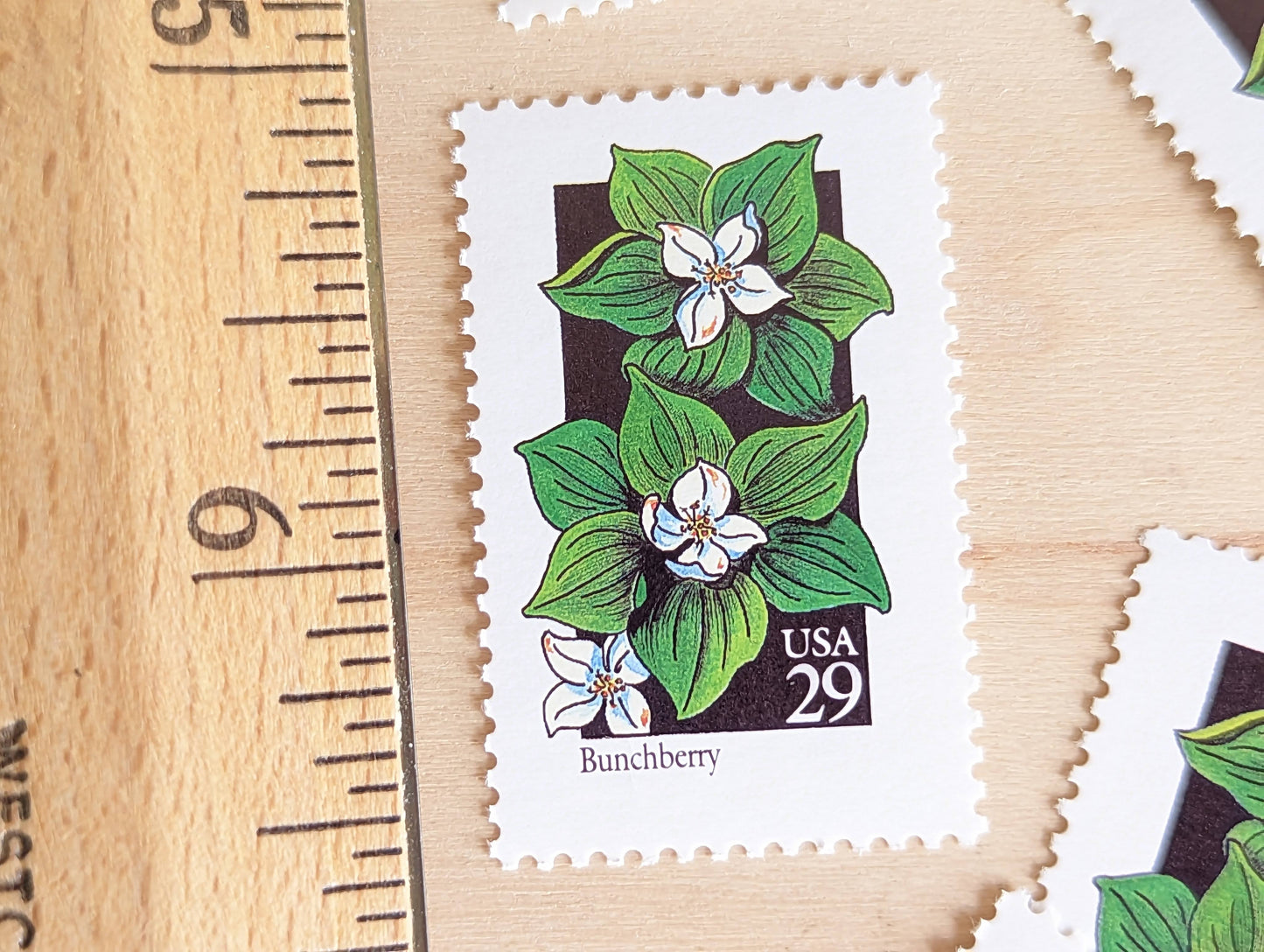 Set of 5 Bunchberry Wildflower Stamps, 29 cent stamps, 1992 Unused USPS Postage Stamps