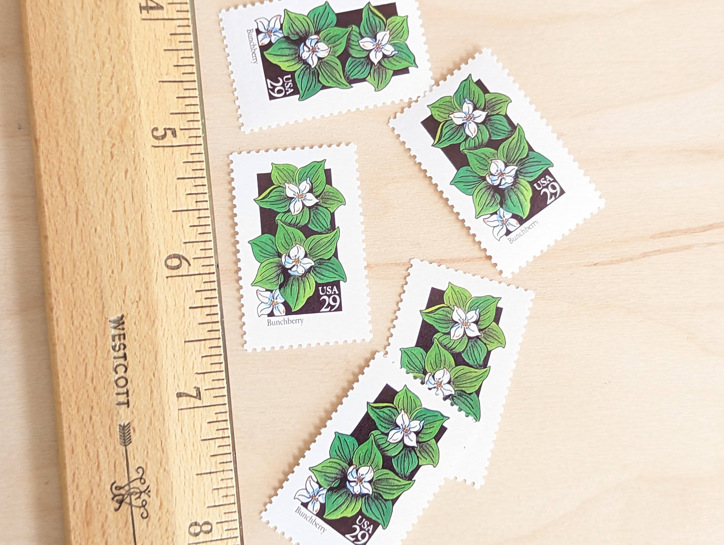 Set of 5 Bunchberry Wildflower Stamps, 29 cent stamps, 1992 Unused USPS Postage Stamps