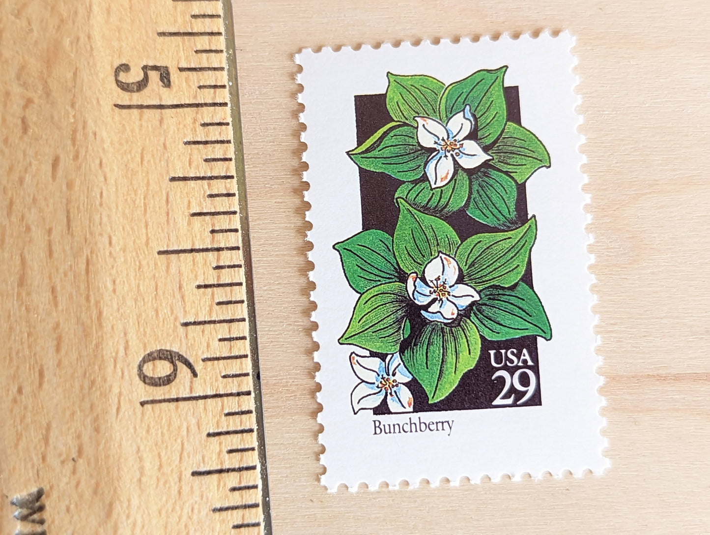 Set of 5 Bunchberry Wildflower Stamps, 29 cent stamps, 1992 Unused USPS Postage Stamps