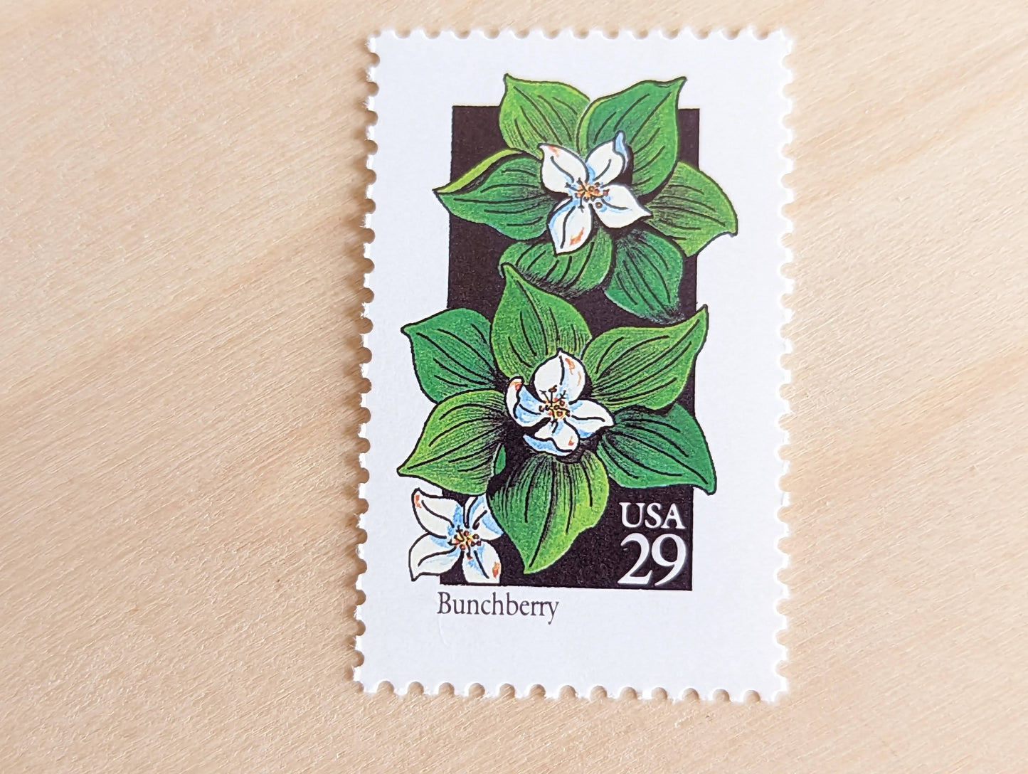 Set of 5 Bunchberry Wildflower Stamps, 29 cent stamps, 1992 Unused USPS Postage Stamps