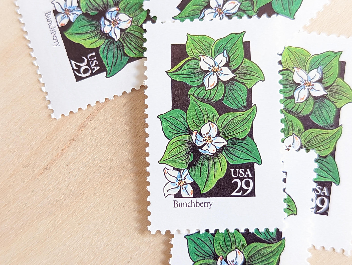 Set of 5 Bunchberry Wildflower Stamps, 29 cent stamps, 1992 Unused USPS Postage Stamps