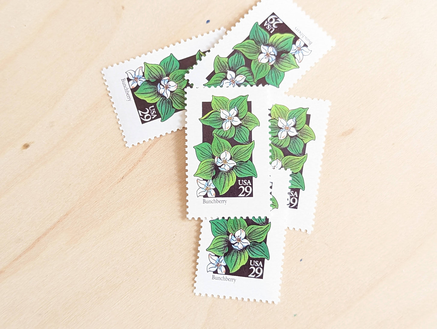 Set of 5 Bunchberry Wildflower Stamps, 29 cent stamps, 1992 Unused USPS Postage Stamps