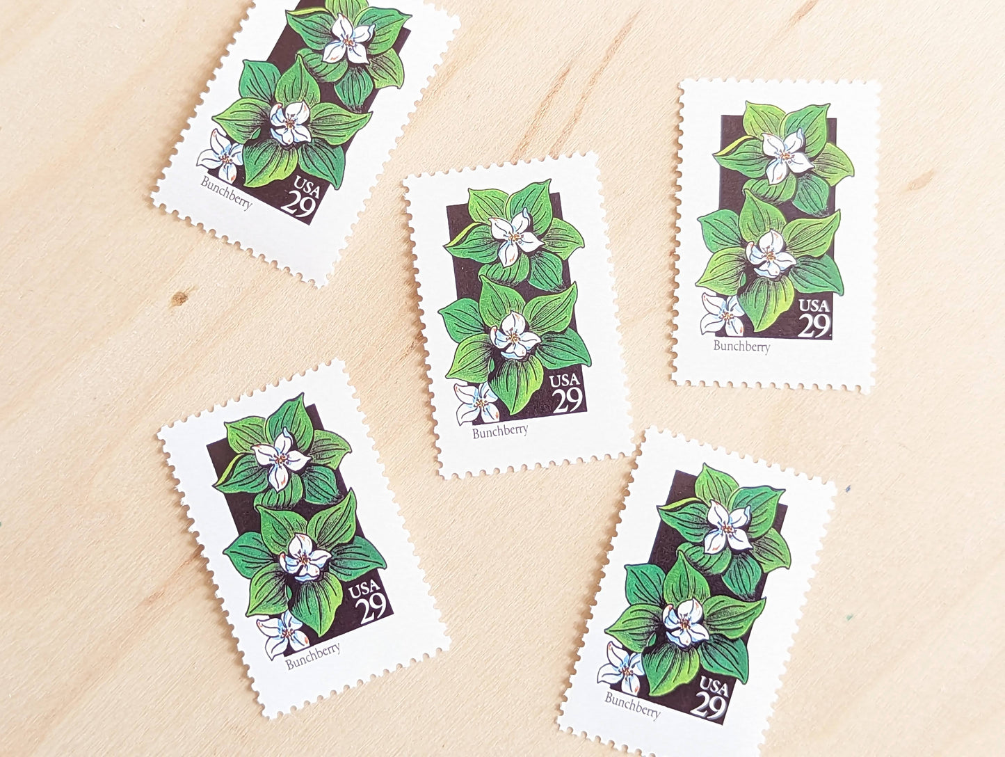 Set of 5 Bunchberry Wildflower Stamps, 29 cent stamps, 1992 Unused USPS Postage Stamps