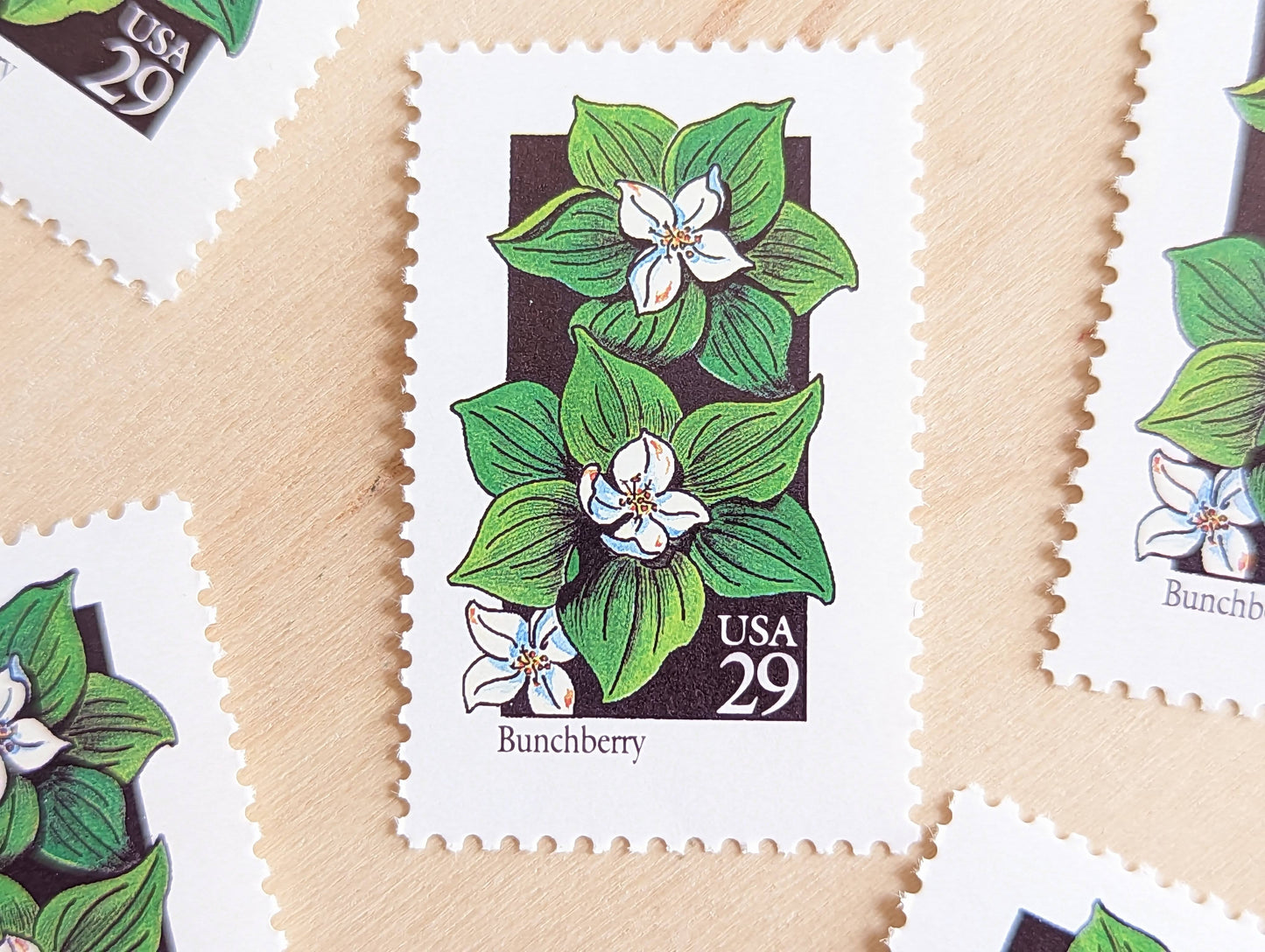 Set of 5 Bunchberry Wildflower Stamps, 29 cent stamps, 1992 Unused USPS Postage Stamps