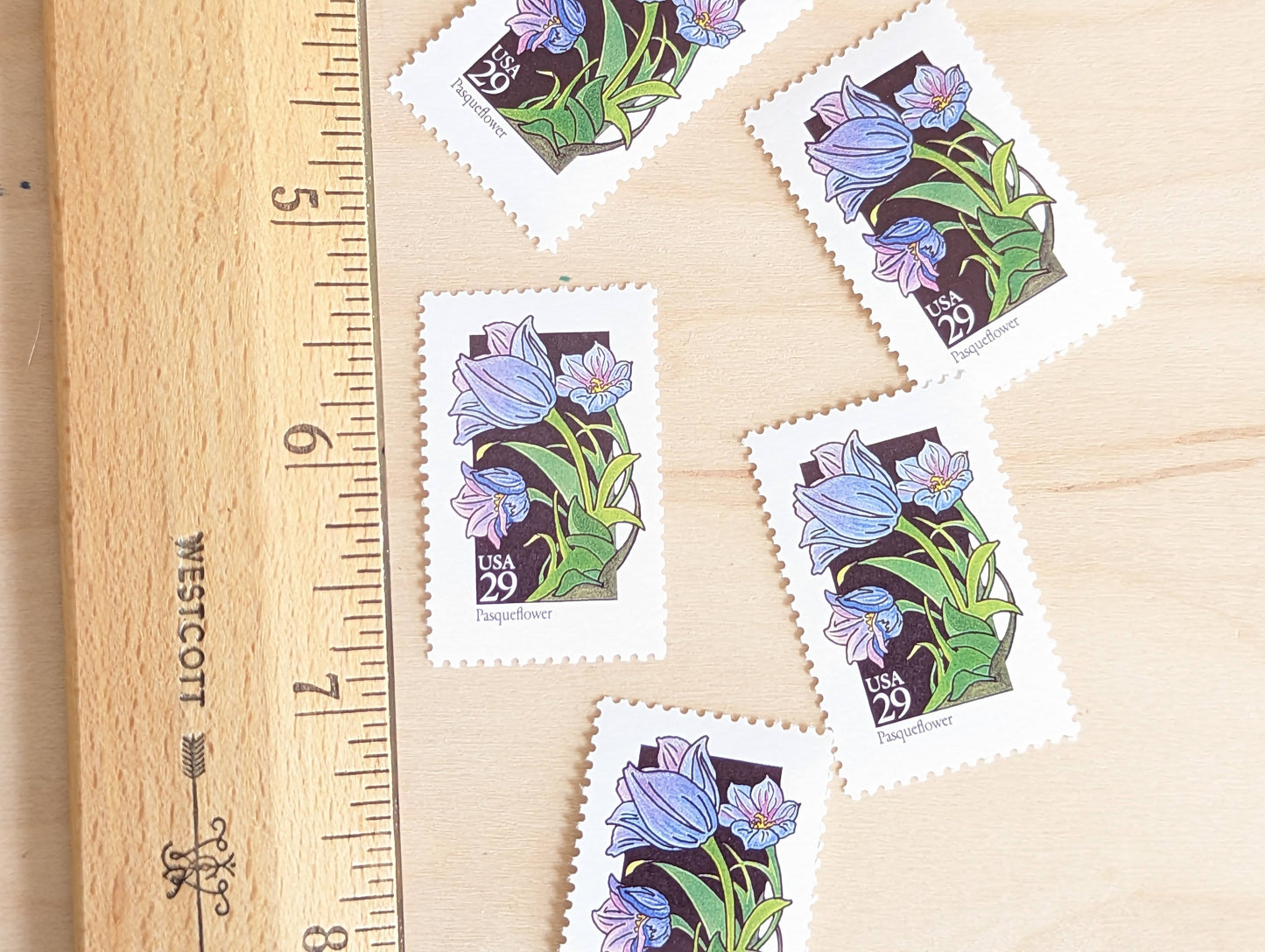 Set of 5 Pasqueflower Wildflower Stamps, 29 cent stamps, 1992 Unused USPS Postage Stamps