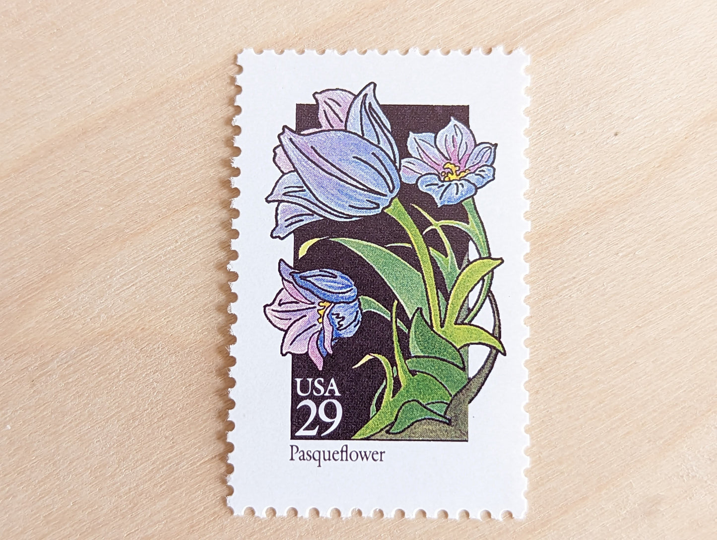 Set of 5 Pasqueflower Wildflower Stamps, 29 cent stamps, 1992 Unused USPS Postage Stamps