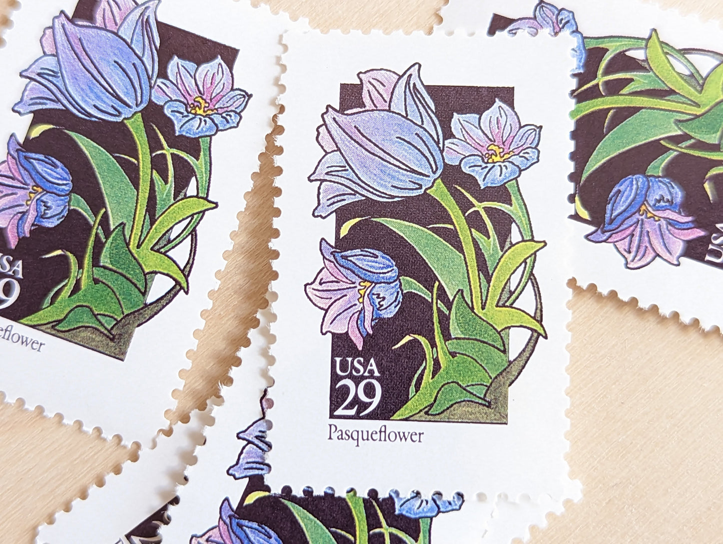 Set of 5 Pasqueflower Wildflower Stamps, 29 cent stamps, 1992 Unused USPS Postage Stamps