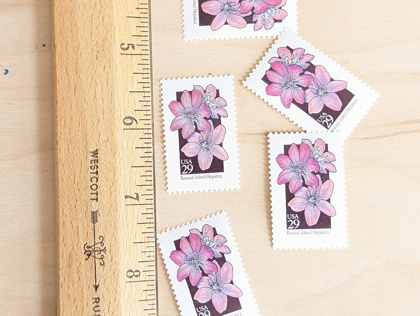 Set of 5 Round-Lobed Hepatica Wildflower Stamps, 29 cent stamps, 1992 Unused USPS Postage Stamps