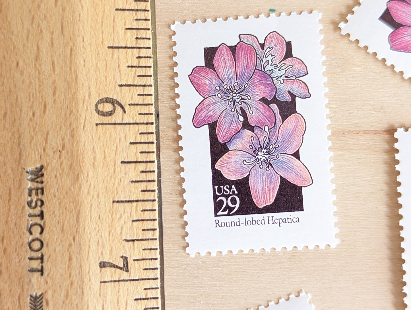 Set of 5 Round-Lobed Hepatica Wildflower Stamps, 29 cent stamps, 1992 Unused USPS Postage Stamps