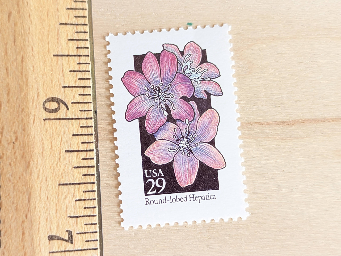 Set of 5 Round-Lobed Hepatica Wildflower Stamps, 29 cent stamps, 1992 Unused USPS Postage Stamps