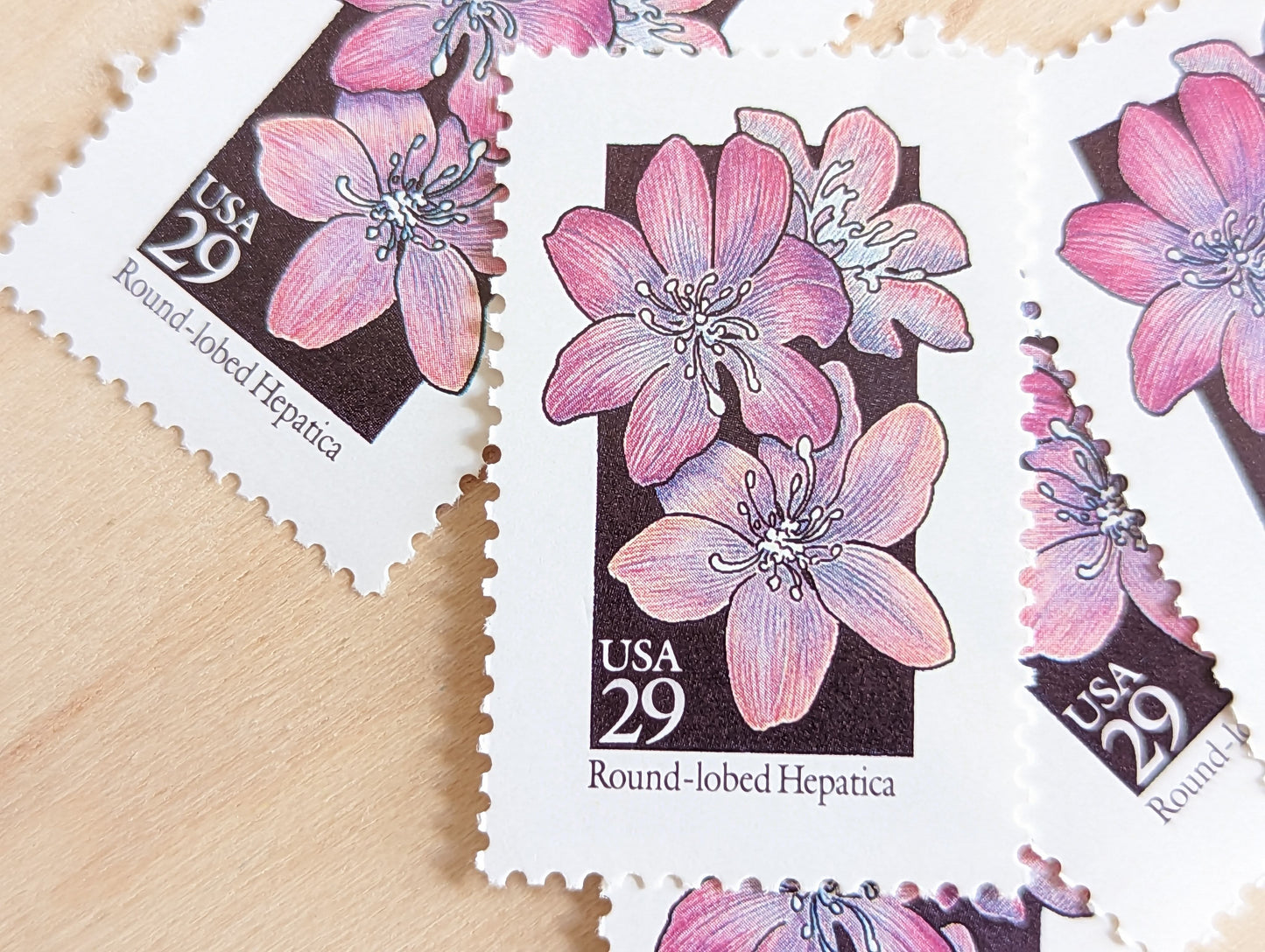 Set of 5 Round-Lobed Hepatica Wildflower Stamps, 29 cent stamps, 1992 Unused USPS Postage Stamps