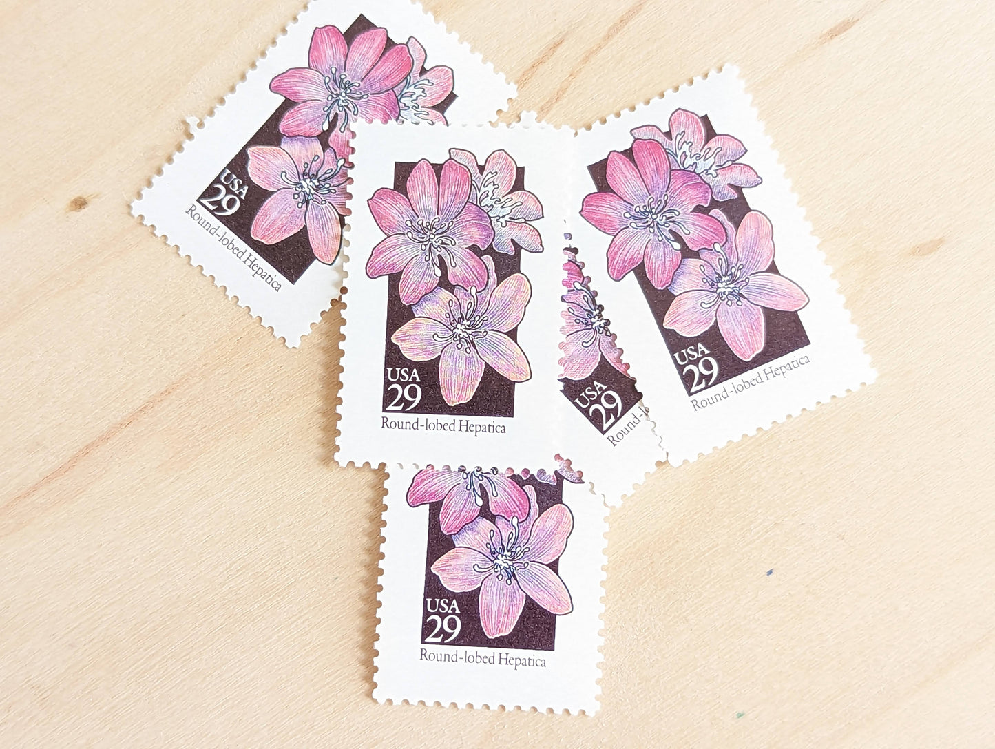 Set of 5 Round-Lobed Hepatica Wildflower Stamps, 29 cent stamps, 1992 Unused USPS Postage Stamps