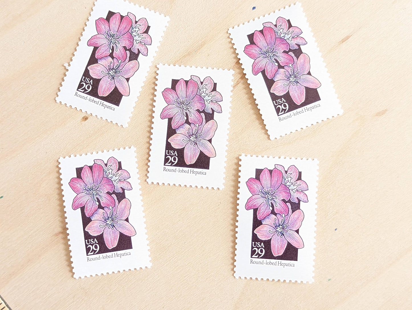 Set of 5 Round-Lobed Hepatica Wildflower Stamps, 29 cent stamps, 1992 Unused USPS Postage Stamps