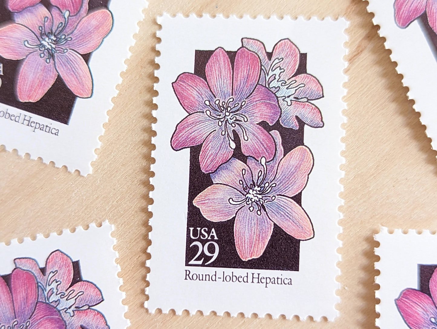 Set of 5 Round-Lobed Hepatica Wildflower Stamps, 29 cent stamps, 1992 Unused USPS Postage Stamps