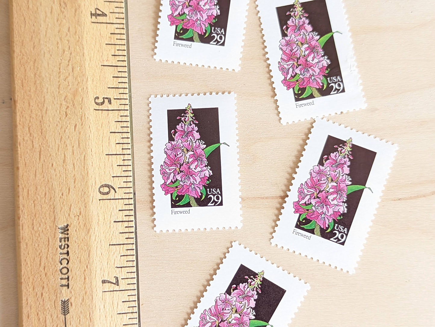 Set of 5 Fireweed Wildflower Stamps, 29 cent stamps, 1992 Unused USPS Postage Stamps