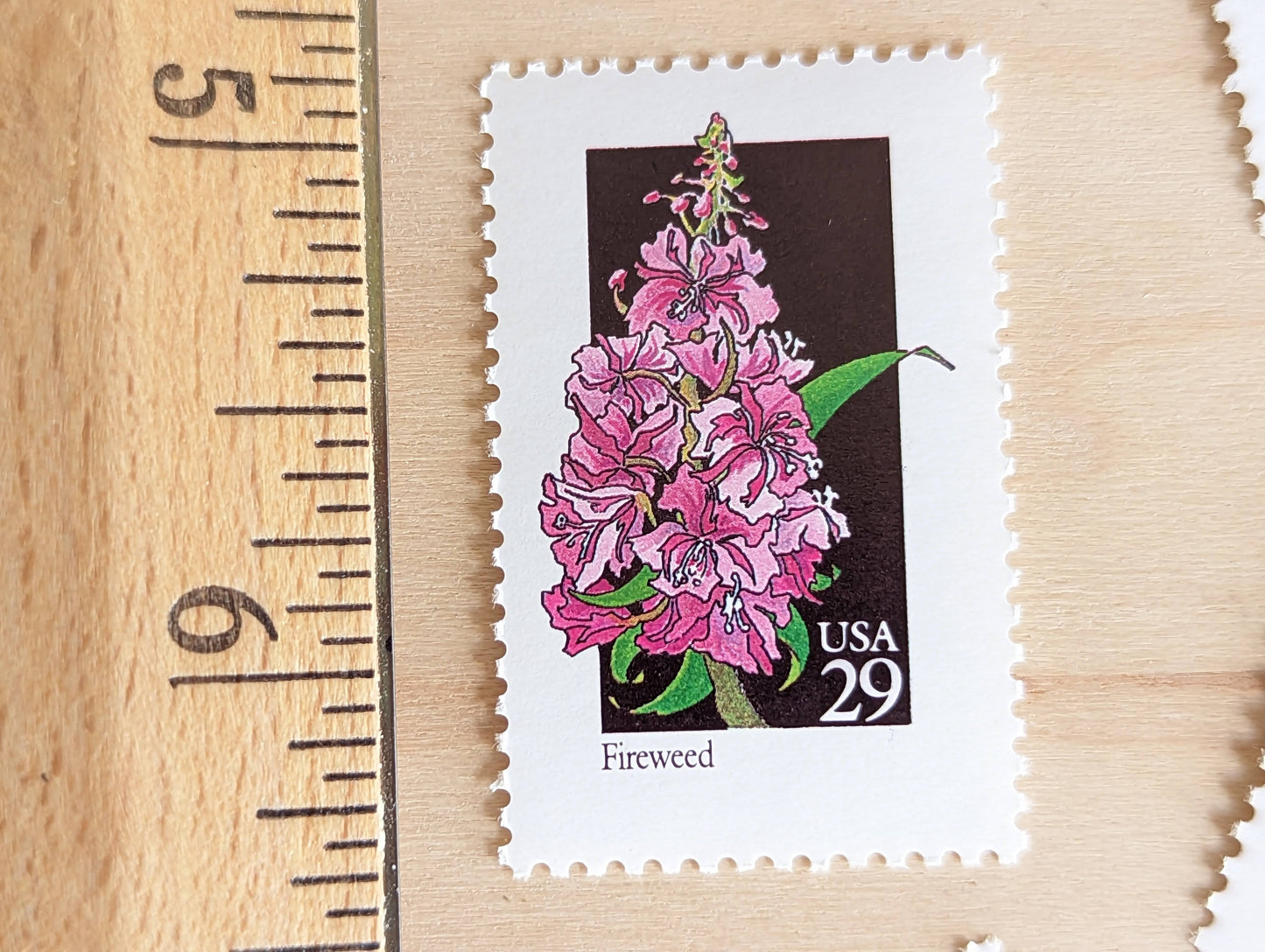 Set of 5 Fireweed Wildflower Stamps, 29 cent stamps, 1992 Unused USPS Postage Stamps