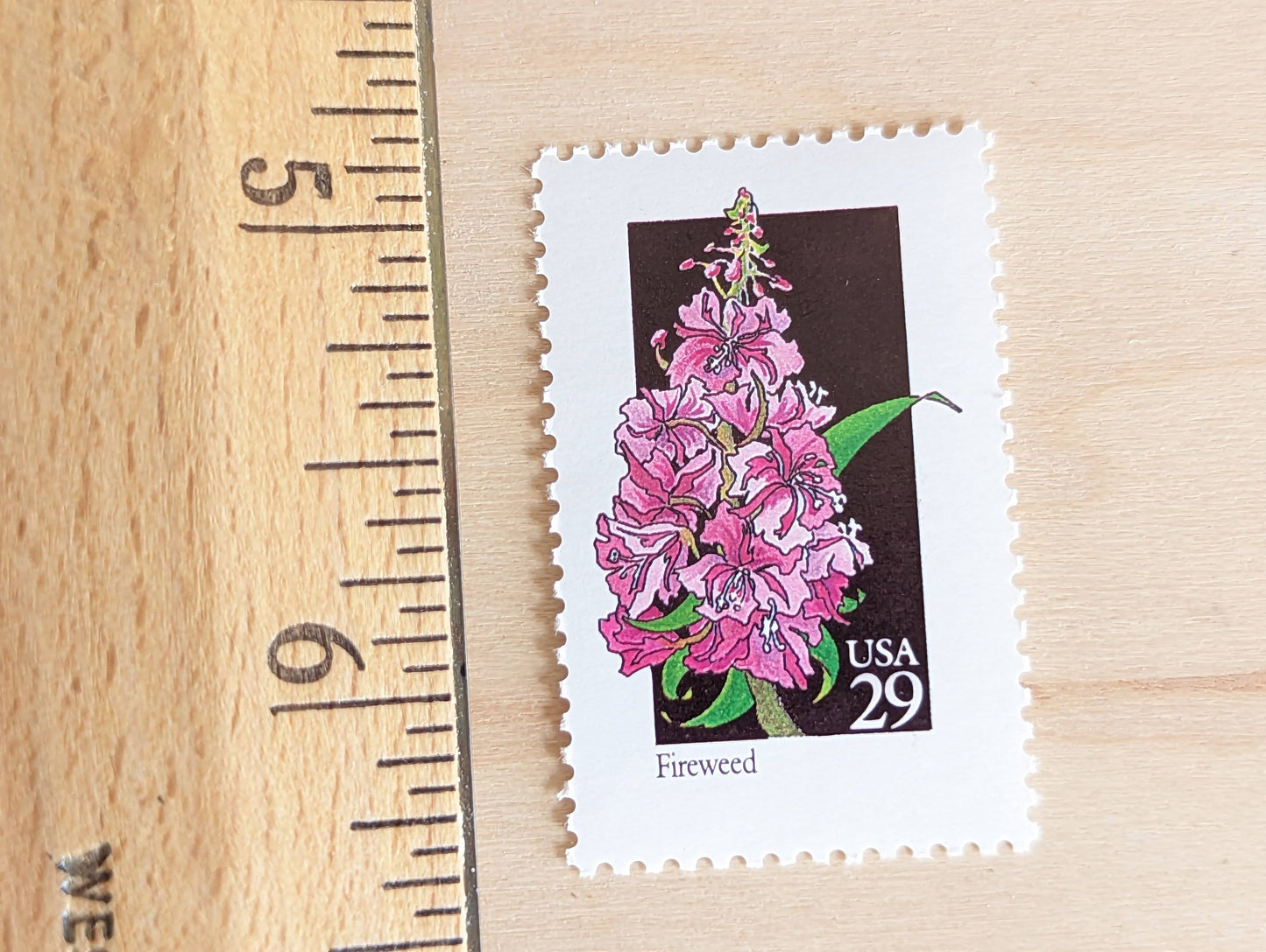 Set of 5 Fireweed Wildflower Stamps, 29 cent stamps, 1992 Unused USPS Postage Stamps