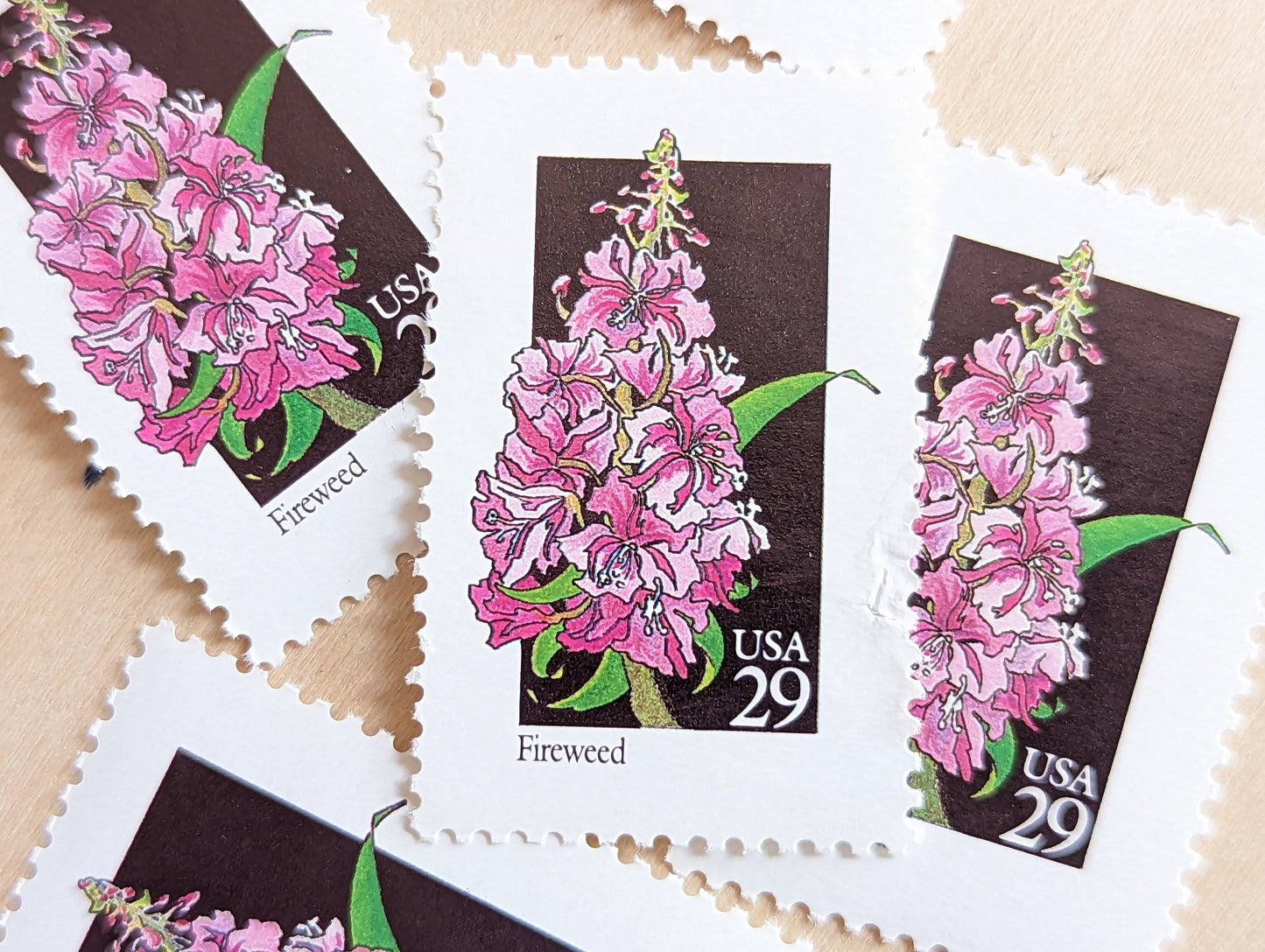 Set of 5 Fireweed Wildflower Stamps, 29 cent stamps, 1992 Unused USPS Postage Stamps