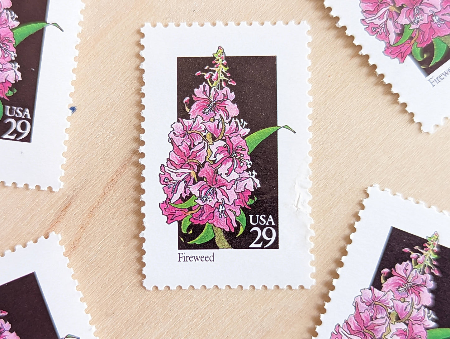 Set of 5 Fireweed Wildflower Stamps, 29 cent stamps, 1992 Unused USPS Postage Stamps